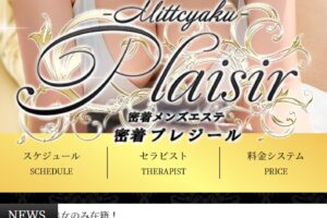 『プレジール (Plaisir)』体験談。