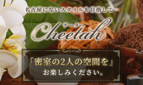 『チーター(cheater)』体験談。