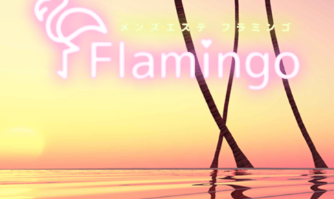 『フラミンゴ(Flamingo)』体験談。